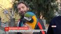 Нарушитель карантина: в Хорватии попугай сбежал из квартиры и отказался возвращаться