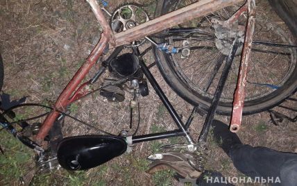 Раптово виїхав назустріч: в Одеській області рейсовий автобус на смерть збив велосипедиста (фото)