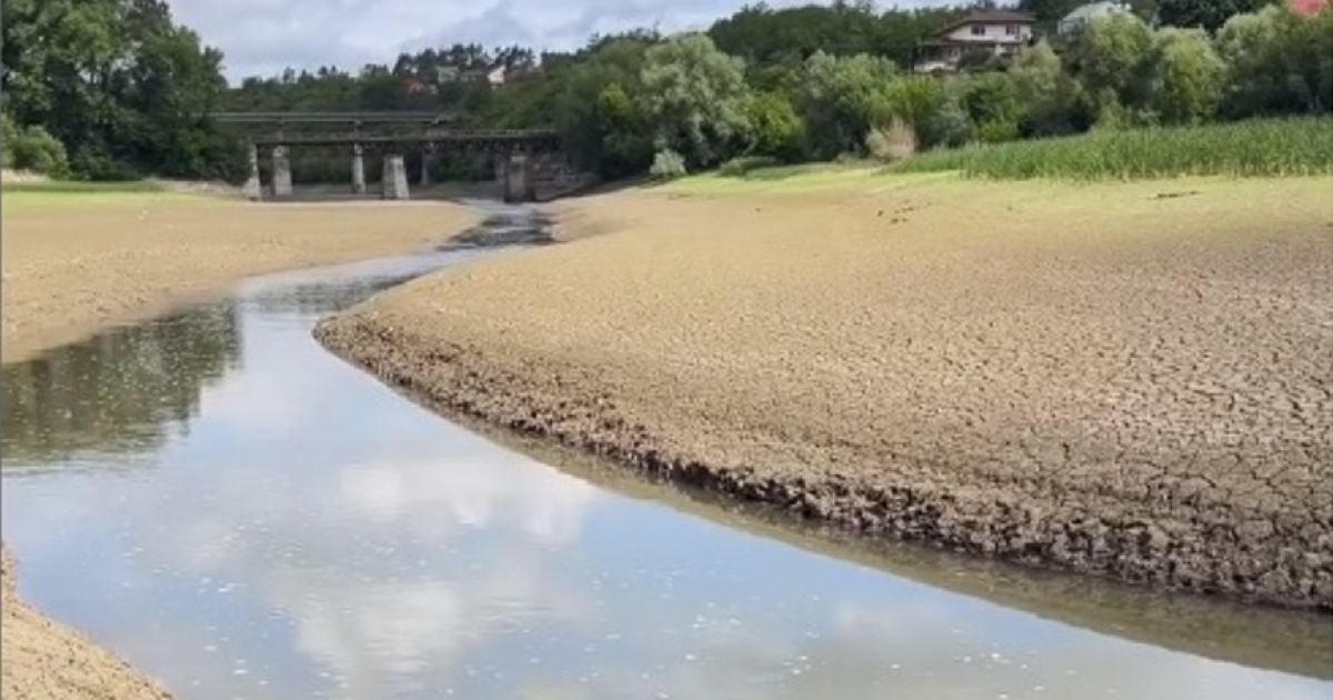 В Тернопольской области мелеют реки