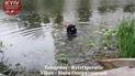 В Киеве нашли расчлененное женское тело
