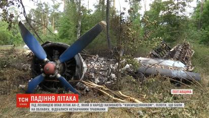 На Полтавщині літак Ан-2 впав під час оприскування полів