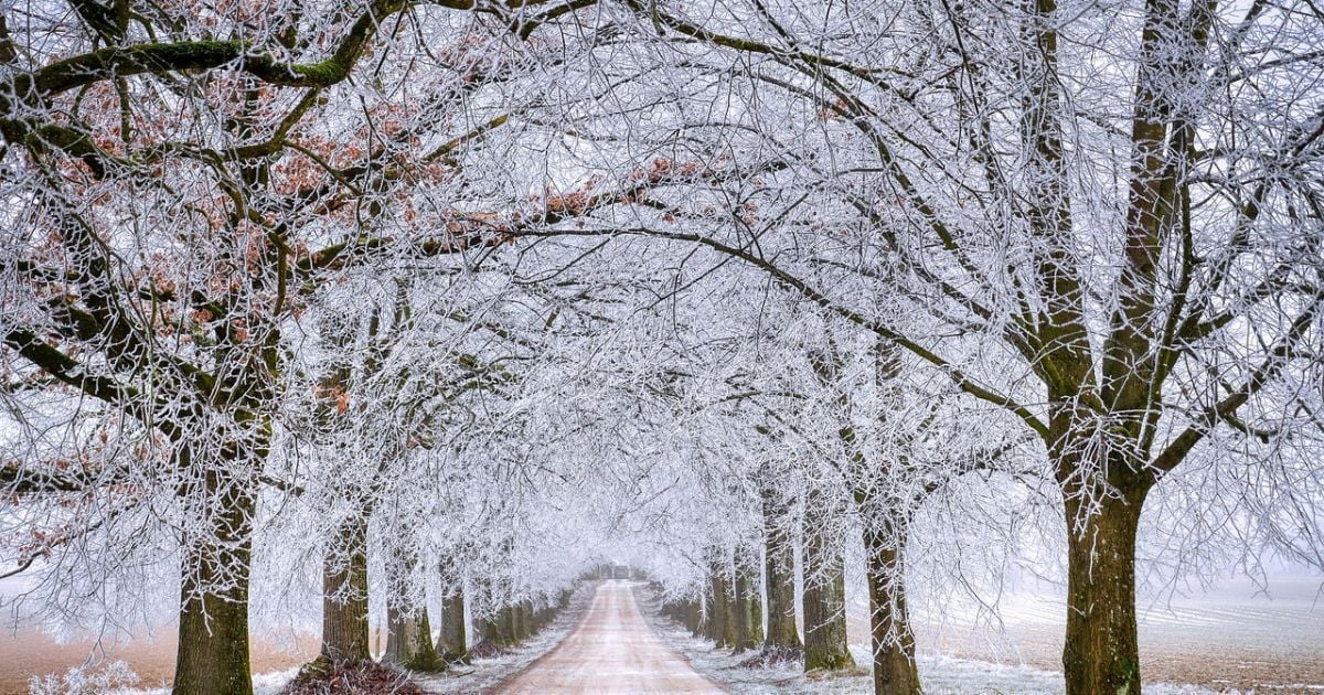 Синоптики попередили про похолодання
