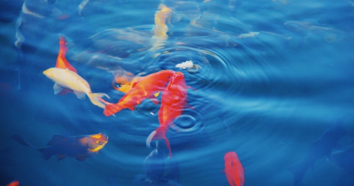 В Индонезии открыли необычный ресторан