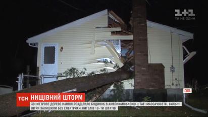 30-метрове дерево унаслідок буревію розтрощило будинок в Массачусетсі