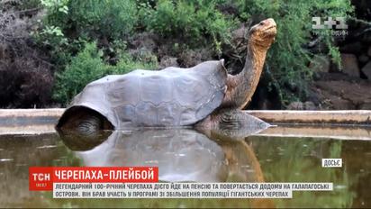 Легендарный 100-летний черепаха Диего возвращается в дикую природу на Галапагосские острова