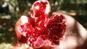 Чи справді гранат — це головний продукт проти старіння