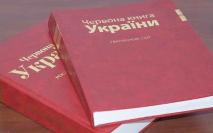 Рак, тритон, ящерица, суслик, угорь и другие: в Красную книгу Украины занесут новый перечень животных