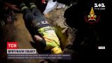 Новини світу: італійські пожежники врятували собаку, який застряг у скелі на Сицилії
