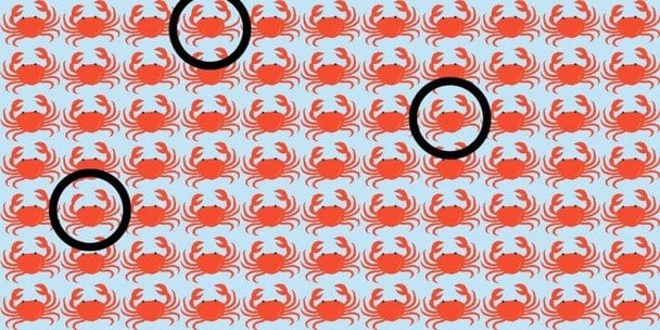 Фото Абмейервуд