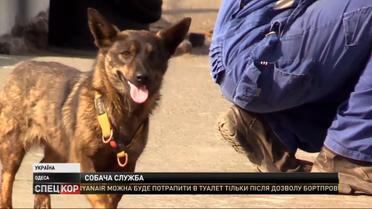 Наследственная морячка: собака Джесси вернулась к экипажу на военно-морскую базу в Одессе
