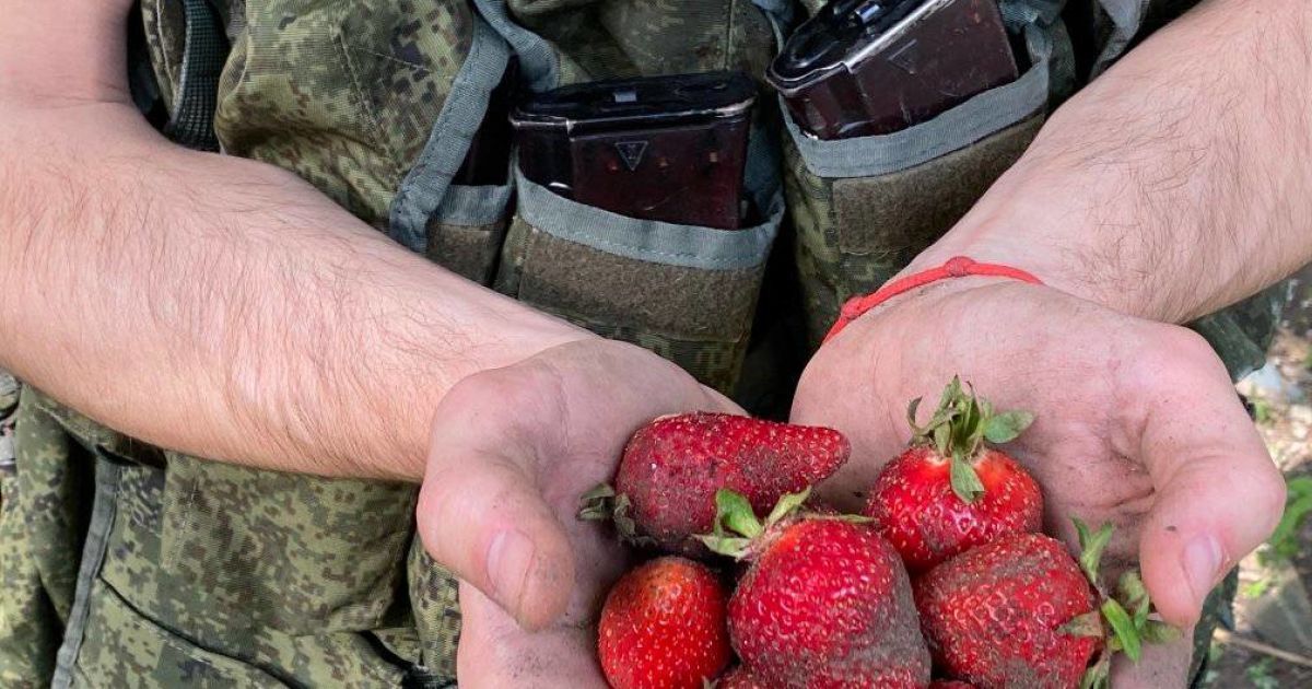 полуниця, окупанти_2 / © Facebook/Оперативне командування "Південь"