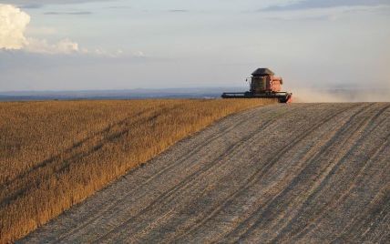 "Росія краде українську пшеницю": міністр Великої Британії запропонував робити ДНК-тестування зерна