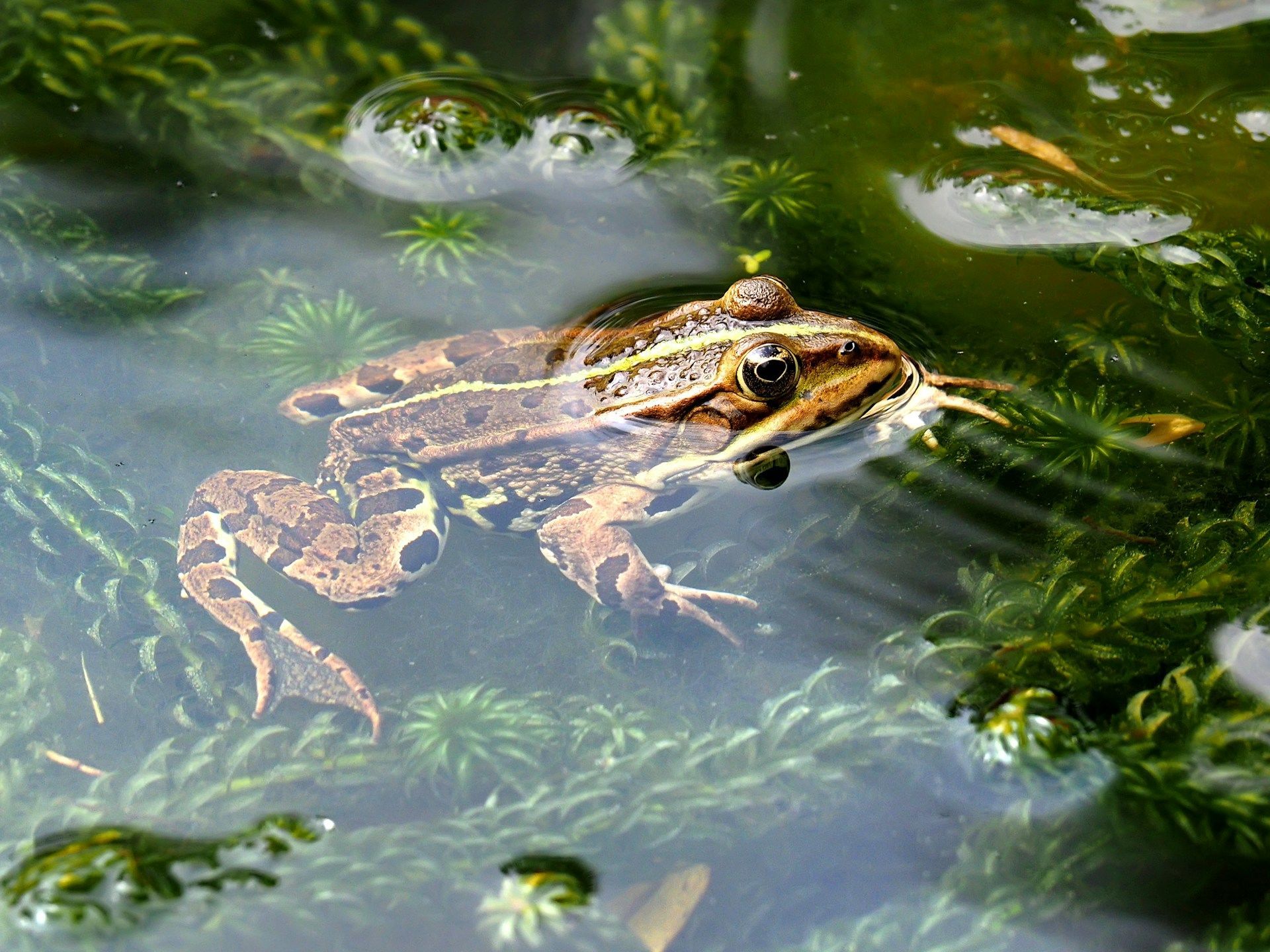 Народні прикмети 2 серпня / © Unsplash