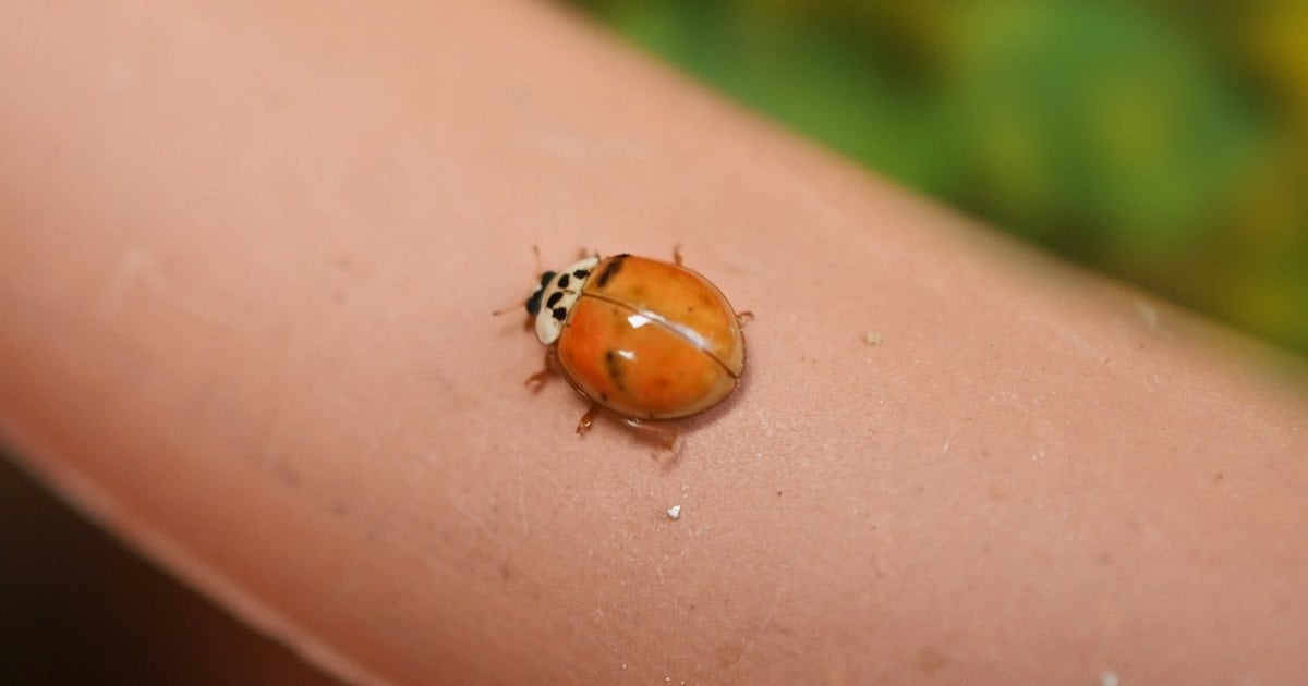 Хто досягає успіху за нумерологією