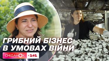 Как владелице грибной фермы удалось удержать бизнес в условиях войны – Дневники войны