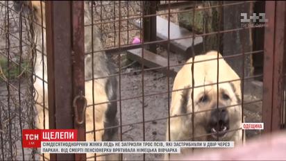 Врачи борются за жизнь 71-летней пенсионерки, которую едва ли не загрызли три алабая