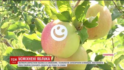 В Винницкой области вырастили "улыбающиеся" яблоки