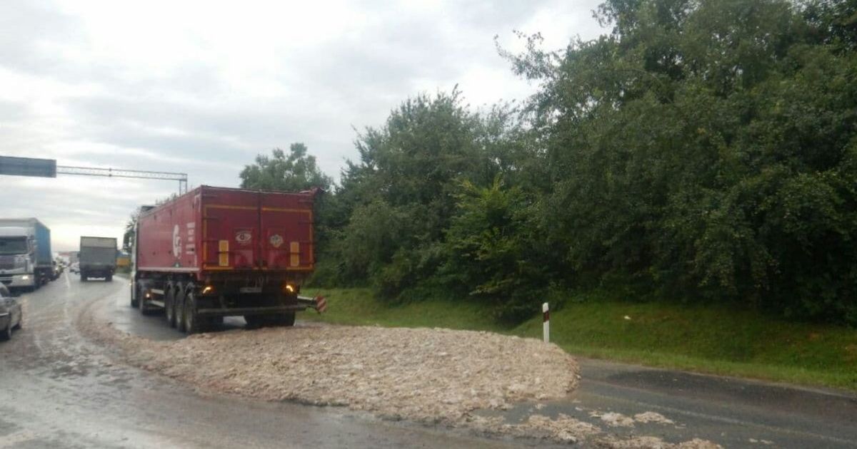 Во Львовской области курятина на трассе блокировала проезд