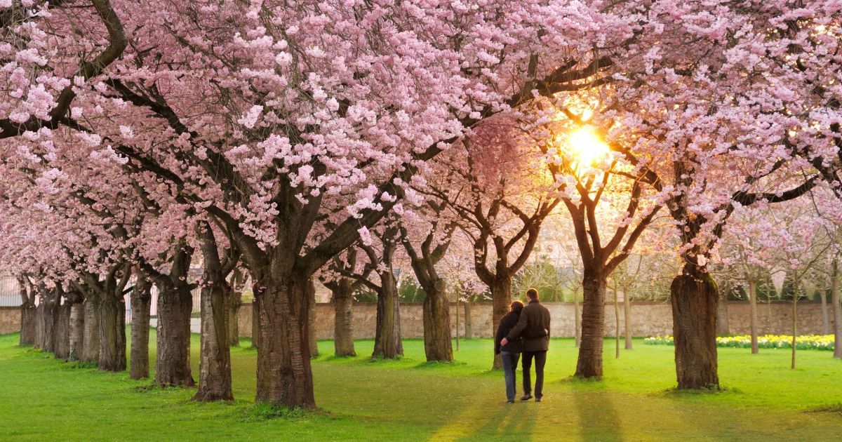 Каким для вас будет апрель 2016 года