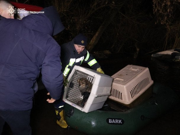 Затоплений притулок