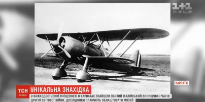 У Карпатах знайшли збитий італійський винищувач часів Другої Світової