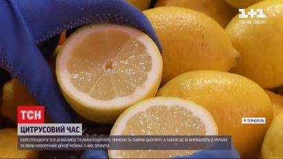 Кислий і ще кисліший: де в Україні лимони та лайми не вважають екзотичними фруктами