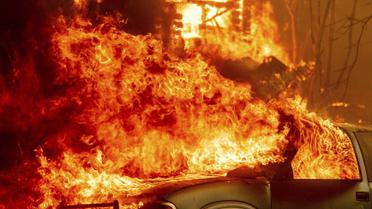 пожежі у США (Грінвілл, Каліфорнія)_6 / © Associated Press