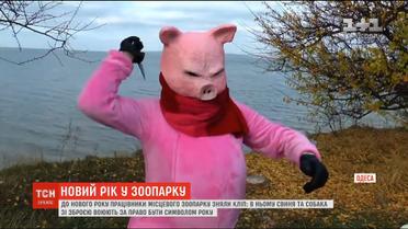 В одеському зоопарку зняли суворий новорічний ролик
