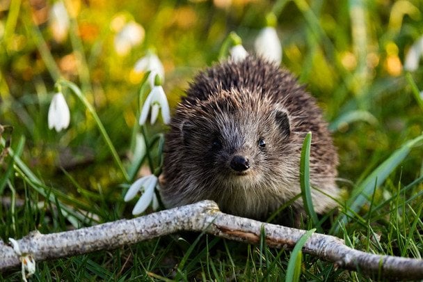 Народные приметы 8 апреля / © pexels.com