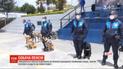 Эквадорская полиция отправила на пенсию несколько служебных собак