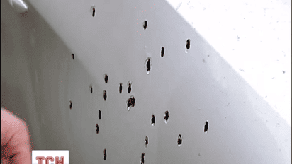 В Киеве на парковке обстреляли автомобиль Владимира Шапакина