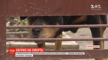 В Николаевской области бойцовская собака насмерть загрызла женщину