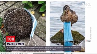 Новини світу: одноразові маски вбивають морських тварин