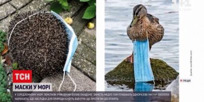 Новини світу: одноразові маски вбивають морських тварин