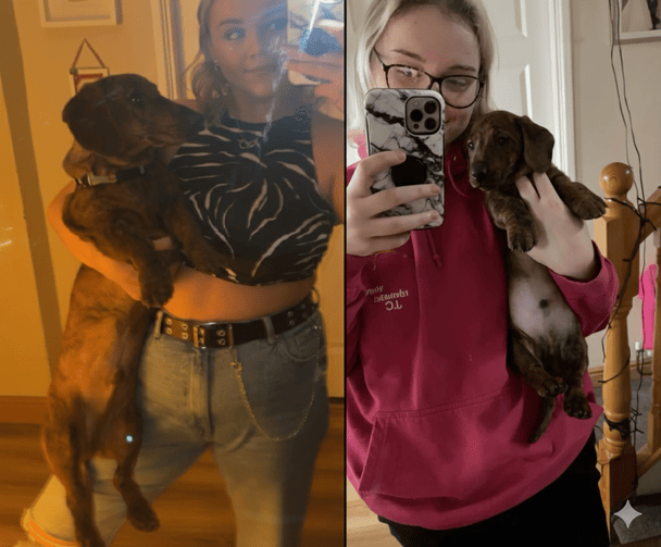 Жінка купила цуценя міні-такси: важко повірити, що з нього виросло