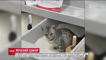 В одном из столичных супермаркетов кот помочился в сахар