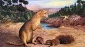 Перші ссавці. Зображення: Natural History Museum UK / Brasilodon quadrangularis CREDIT 2022 Anatomical Society/Wiley
