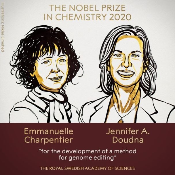 Эммануэль Шарпентье и Дженнифер А. Дудна / © Twitter/The Nobel Prize