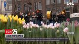В Амстердаме всем желающим раздавали тюльпаны | Новости мира