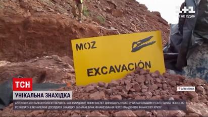 Палеонтологи из Аргентины утверждают, что найденный ими динозавр может быть крупнейшим в мире