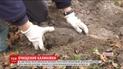 Калиновку полностью очистили от снарядов