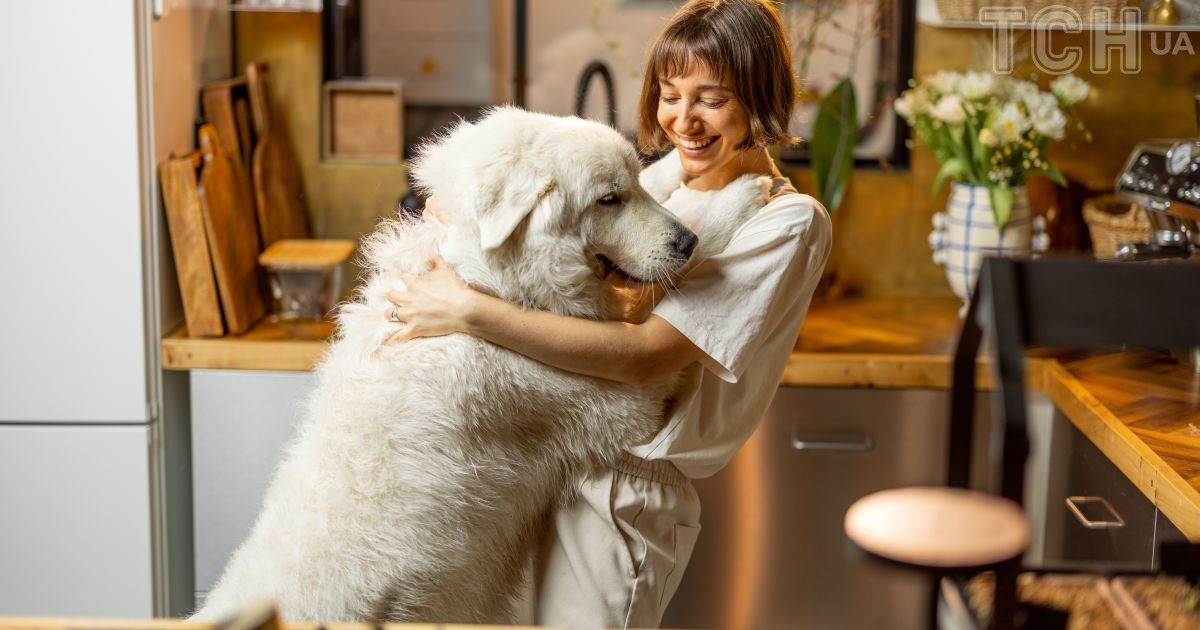 Що не треба робити у спеку з собакою