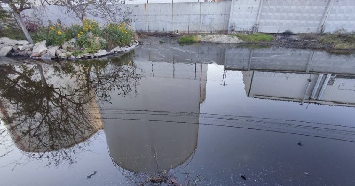 Фото: novosti-n