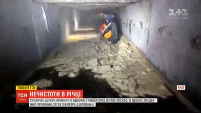 У київській водоймі Сирець дигери виявили значну кількість нечистот