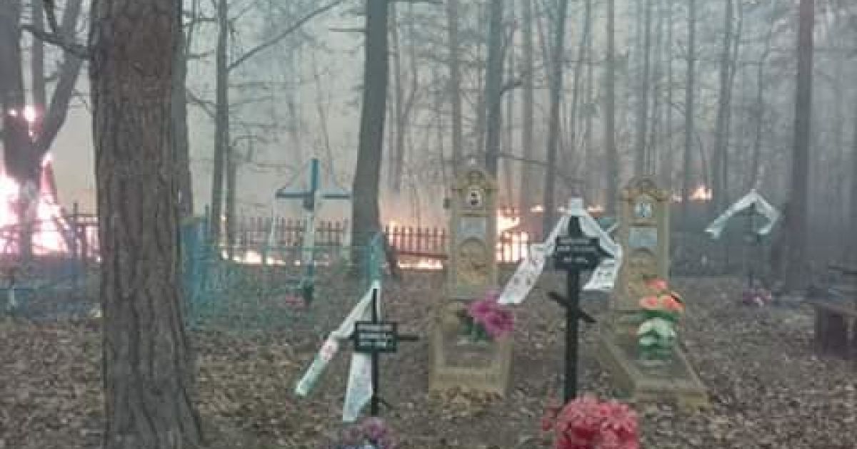 згорілі села в Житомирській області_6 / © facebook.com/Олексій Кравчук