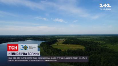 "30 років Незалежності" | Волинська область – край озер,  чорниці, старовинних замків та костелів
