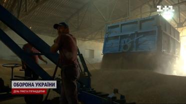 Убытки - более 5 миллиардов: СБУ разоблачила таможенников, незаконно продававших зерно за границу