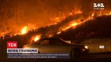 Новини світу: у Каліфорнії лісова пожежа випалила вже 800 гектарів землі