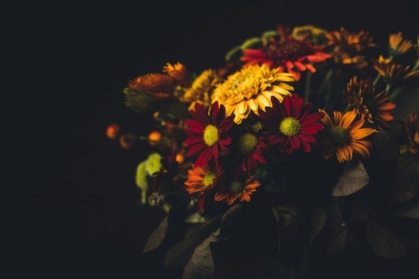 День ангела 2 листопада — душевні привітання в прозі / © unsplash.com