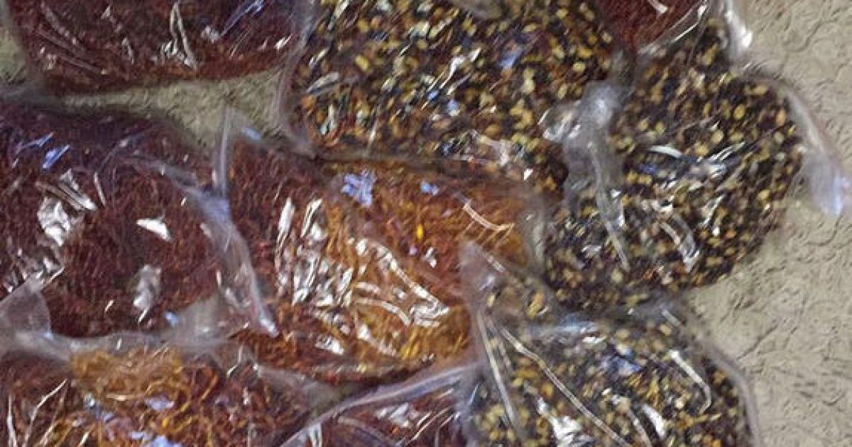 Партія бурштину на два мільйони доларів_7 / © СБУ